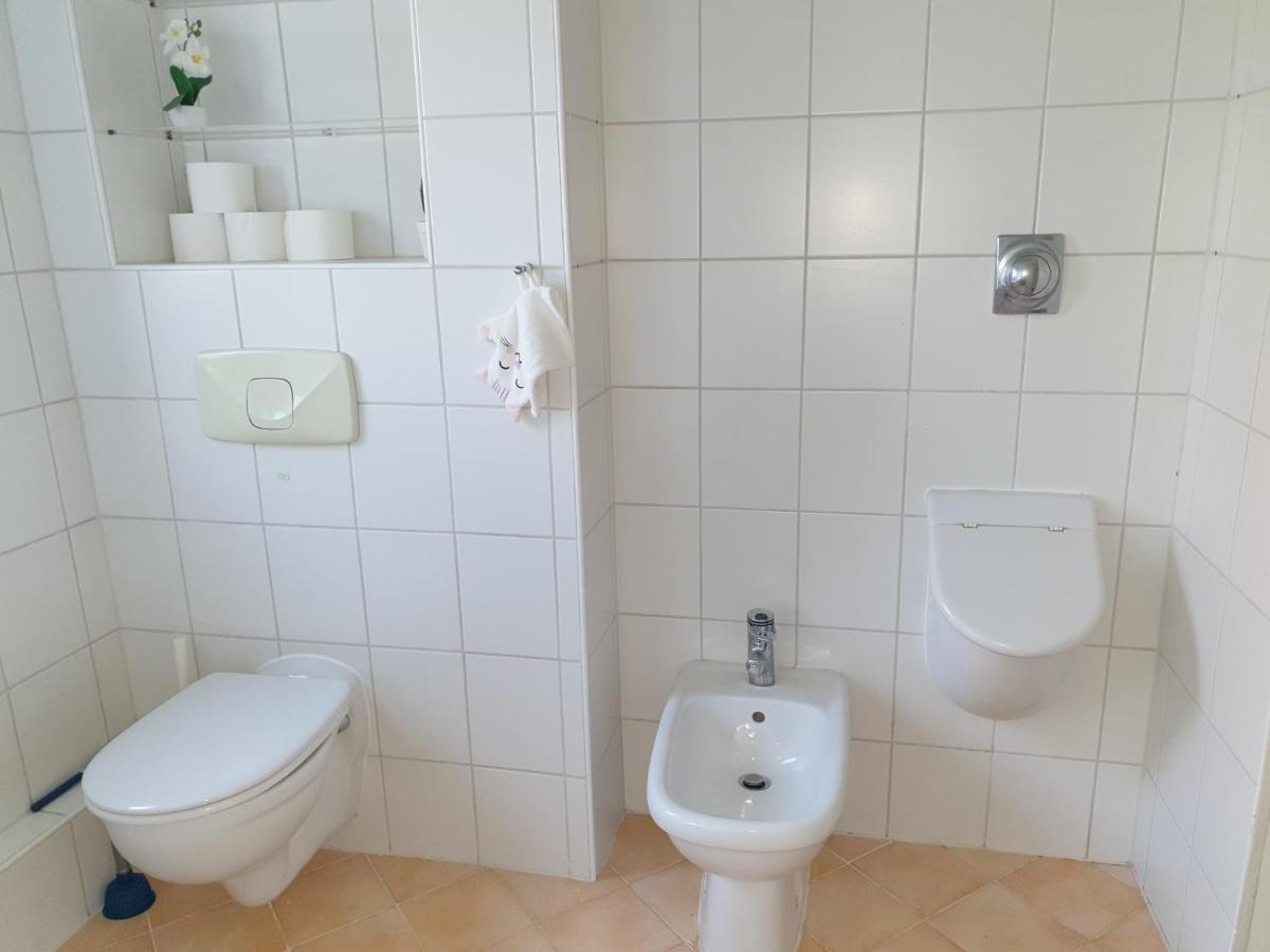 Family Apartment Linz Wohnen Mit Garten Am Fusse Des Poestlingbergs Top Lage Villenviertel Ngoại thất bức ảnh