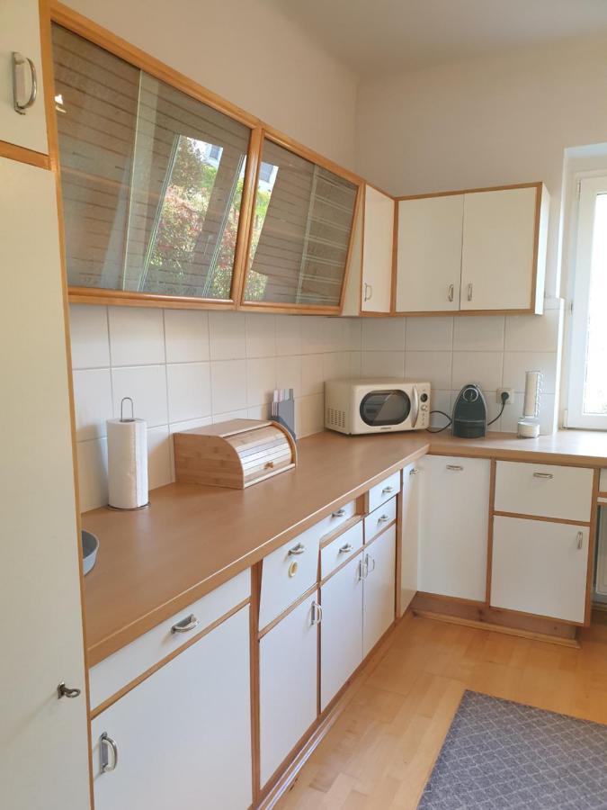 Family Apartment Linz Wohnen Mit Garten Am Fusse Des Poestlingbergs Top Lage Villenviertel Ngoại thất bức ảnh