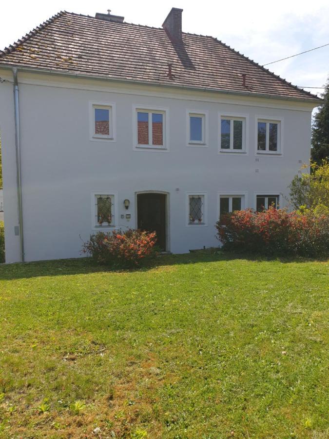 Family Apartment Linz Wohnen Mit Garten Am Fusse Des Poestlingbergs Top Lage Villenviertel Ngoại thất bức ảnh