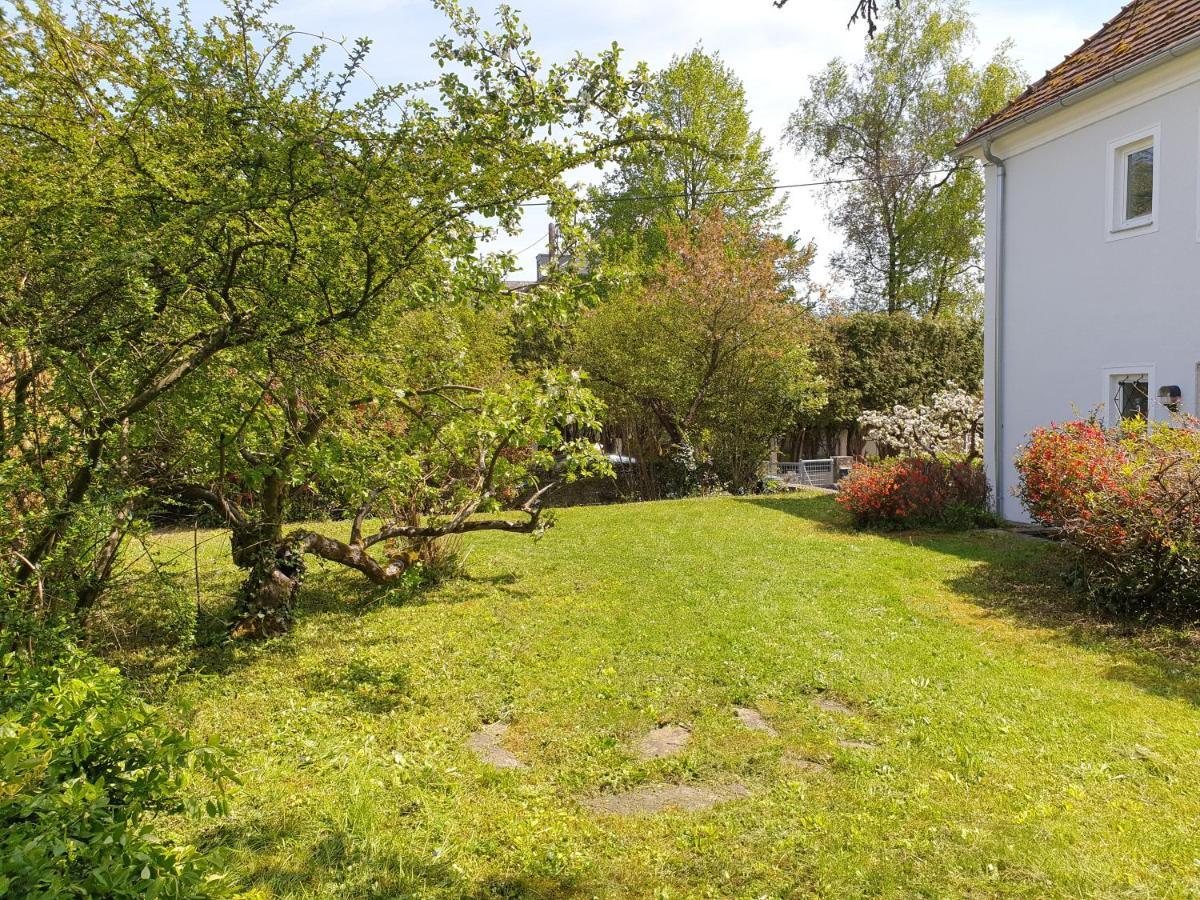 Family Apartment Linz Wohnen Mit Garten Am Fusse Des Poestlingbergs Top Lage Villenviertel Ngoại thất bức ảnh