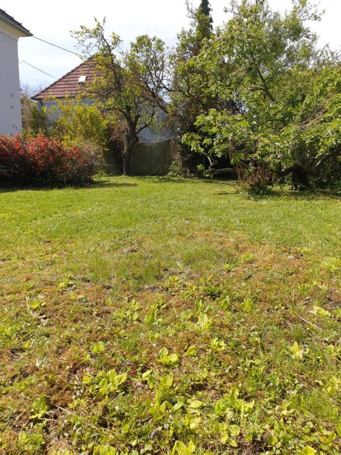 Family Apartment Linz Wohnen Mit Garten Am Fusse Des Poestlingbergs Top Lage Villenviertel Ngoại thất bức ảnh