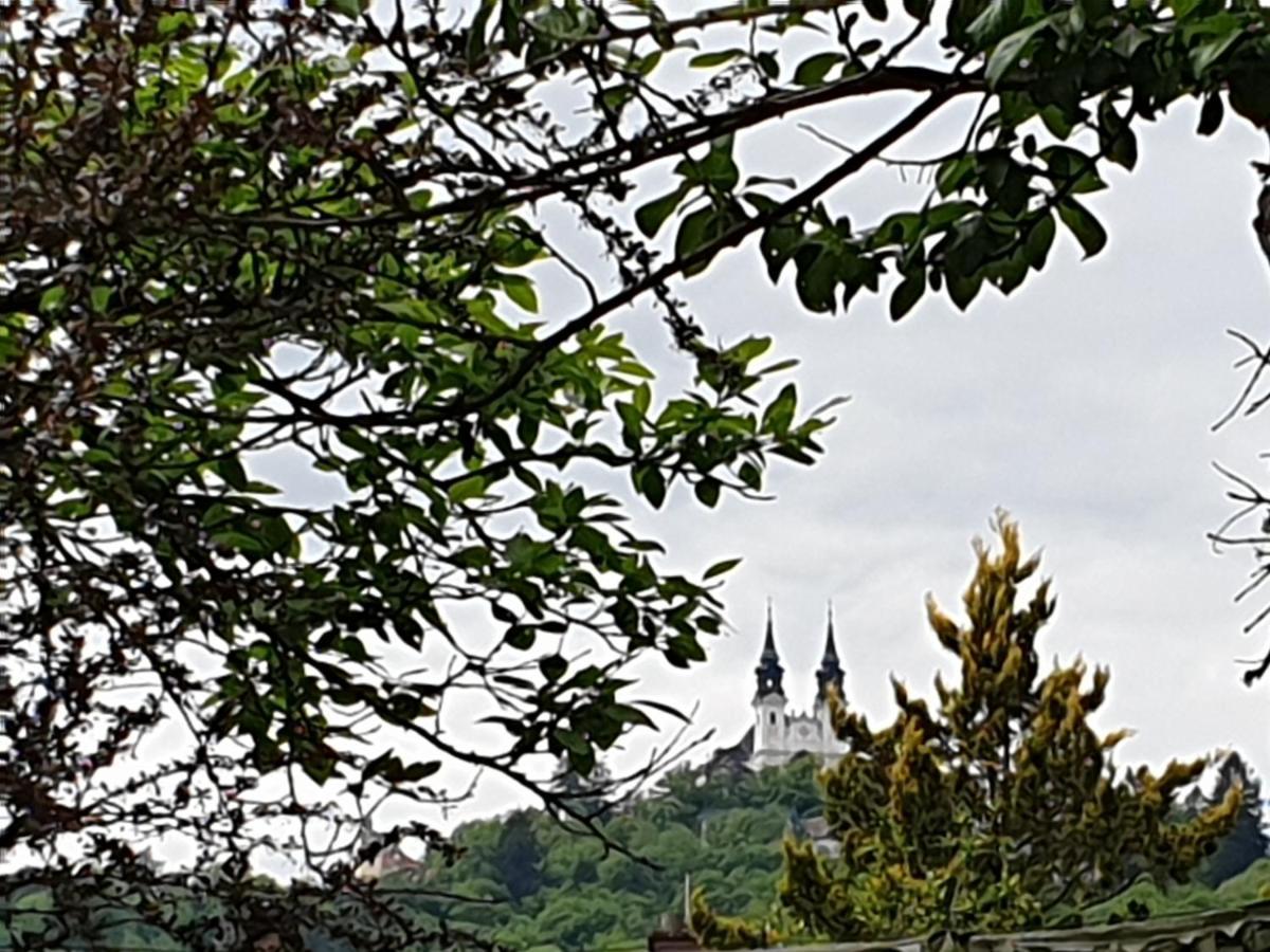 Family Apartment Linz Wohnen Mit Garten Am Fusse Des Poestlingbergs Top Lage Villenviertel Ngoại thất bức ảnh