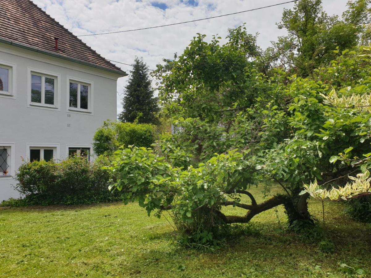 Family Apartment Linz Wohnen Mit Garten Am Fusse Des Poestlingbergs Top Lage Villenviertel Ngoại thất bức ảnh