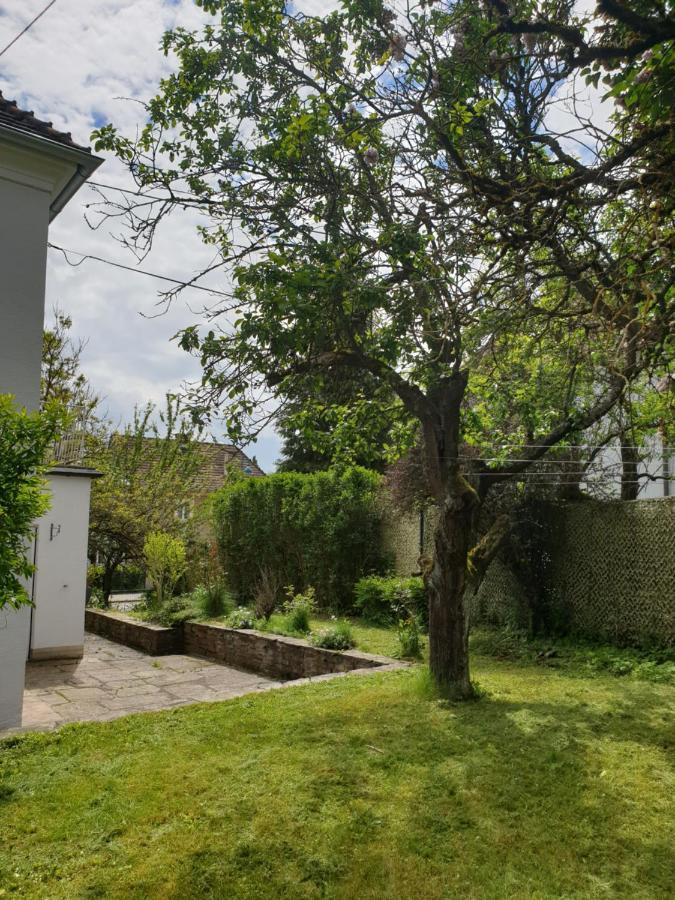 Family Apartment Linz Wohnen Mit Garten Am Fusse Des Poestlingbergs Top Lage Villenviertel Ngoại thất bức ảnh