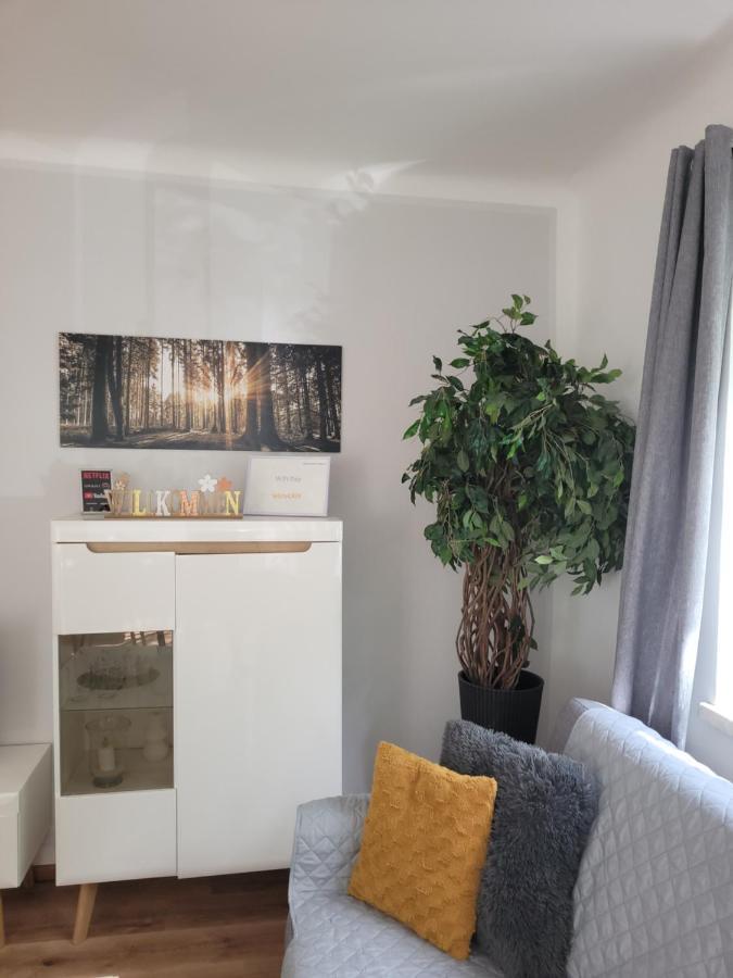 Family Apartment Linz Wohnen Mit Garten Am Fusse Des Poestlingbergs Top Lage Villenviertel Ngoại thất bức ảnh