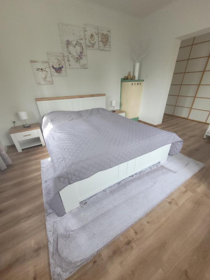 Family Apartment Linz Wohnen Mit Garten Am Fusse Des Poestlingbergs Top Lage Villenviertel Ngoại thất bức ảnh
