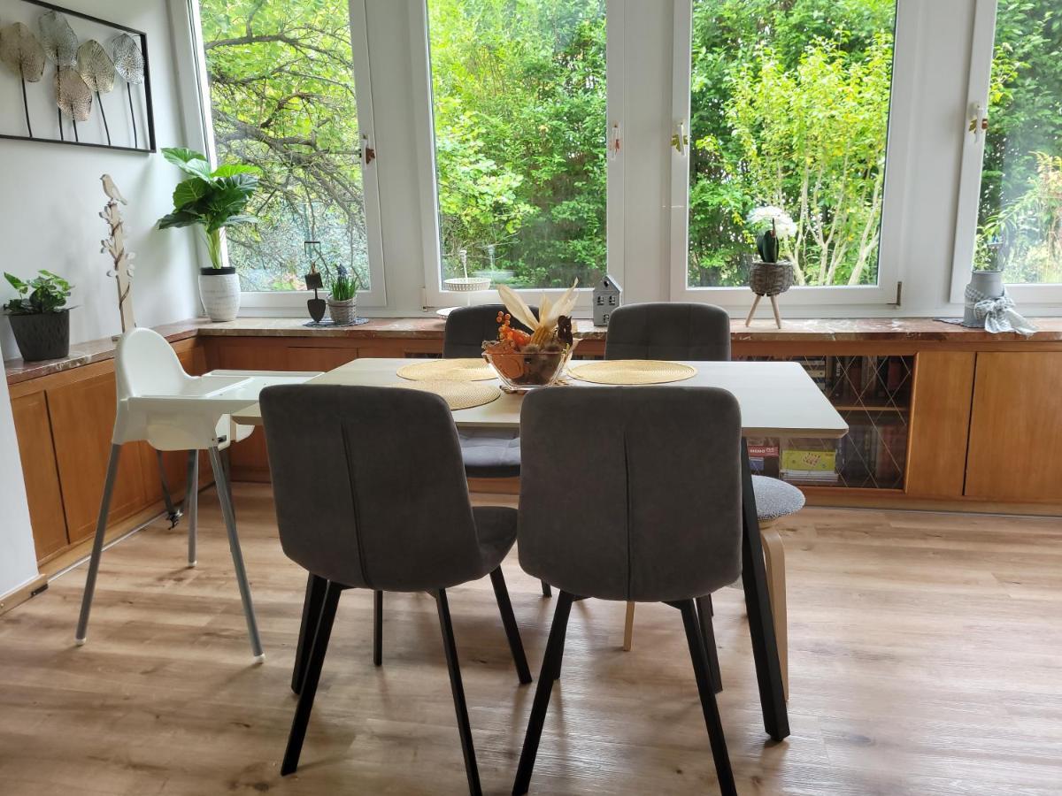 Family Apartment Linz Wohnen Mit Garten Am Fusse Des Poestlingbergs Top Lage Villenviertel Ngoại thất bức ảnh