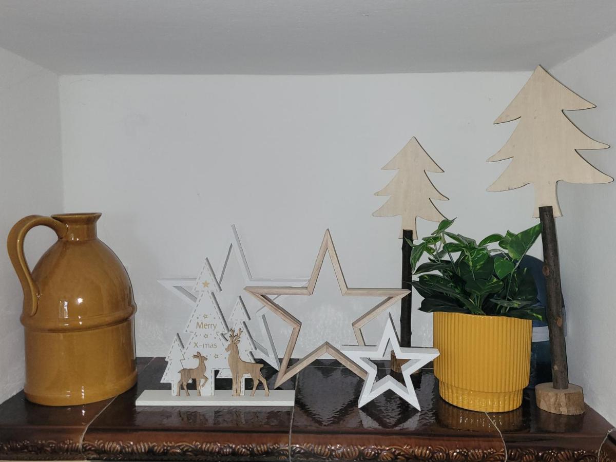 Family Apartment Linz Wohnen Mit Garten Am Fusse Des Poestlingbergs Top Lage Villenviertel Ngoại thất bức ảnh